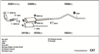 Zestaw tłumików, kompletny układ wydechowy - WALKER FOK029969AA