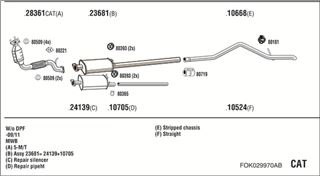 Zestaw tłumików, kompletny układ wydechowy - WALKER FOK029970AB