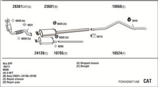 Zestaw tłumików, kompletny układ wydechowy - WALKER FOK029971AB